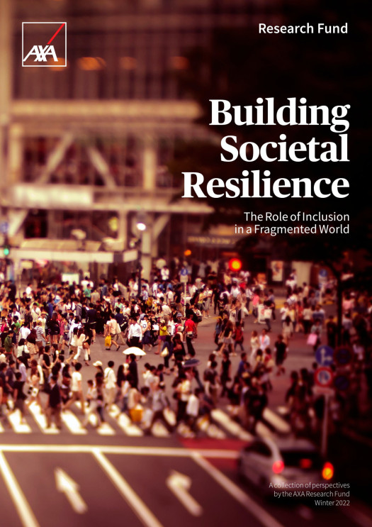 Building Societal Resilience